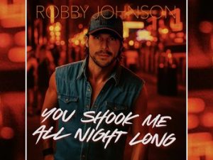 Robby Johnson - You Shook Me All Night Long