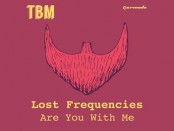 Lost Frequencies - Are You With Me