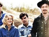 The Common Linnets
