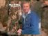 Mel Tillis - Love Revival