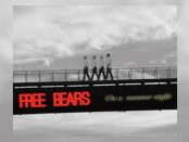 Free Bears - On A Summer Night
