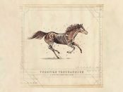 Turnpike Troubadours - A Long Way From Your Heart