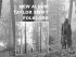 Taylor Swift - Folklore
