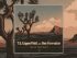 T.G. Copperfield with Ben Forrester - Out In The Desert