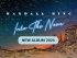 Randall King – Into The Neon