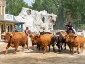 Pullman City, Eging