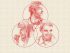 The Avett Brothers