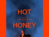 Tiësto & Alana Springsteen - Hot Honey