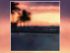 Morgan Wallen - Love Somebody