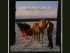 Randy Travis - Where My Heart Is