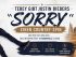 Tebey - Sorry
