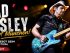Brad Paisley: Tollwood Festival 2026