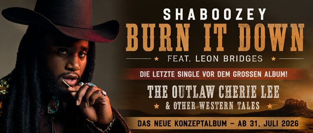 Shaboozey feat. Leon Bridges - Burn It Down